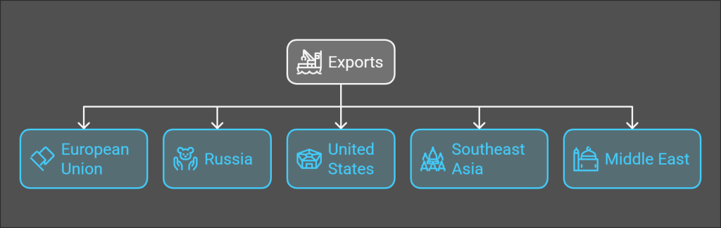 Export & Trade Dynamics