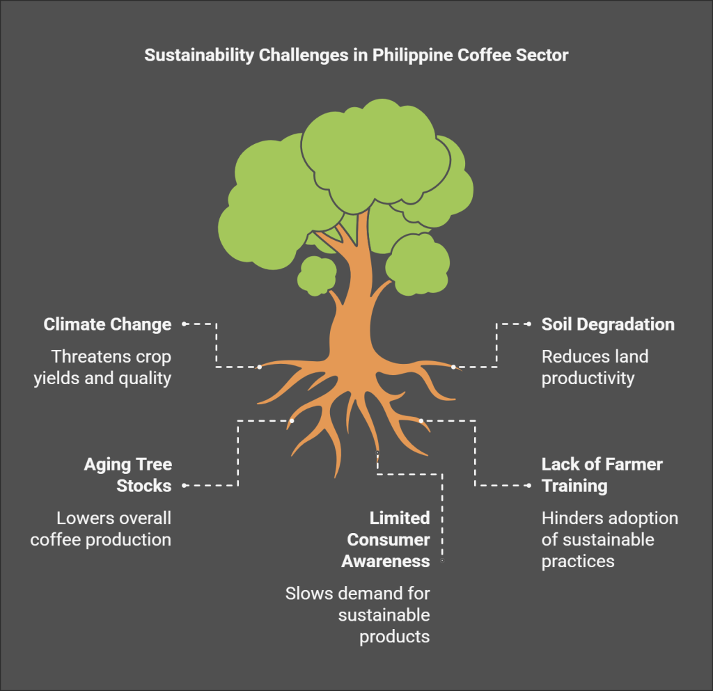 sustainable Philippine coffee