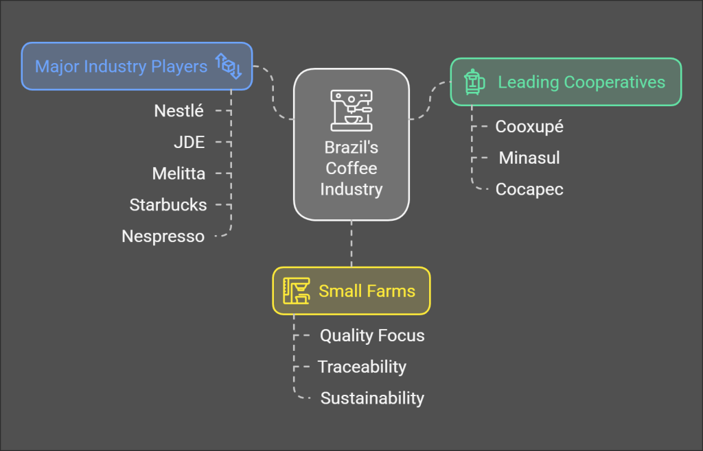 brazil coffee industry 